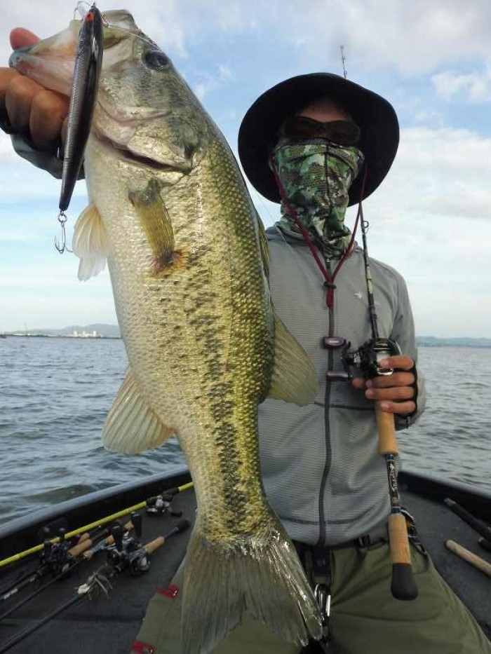 truth  ブログ写真 2017/06/13