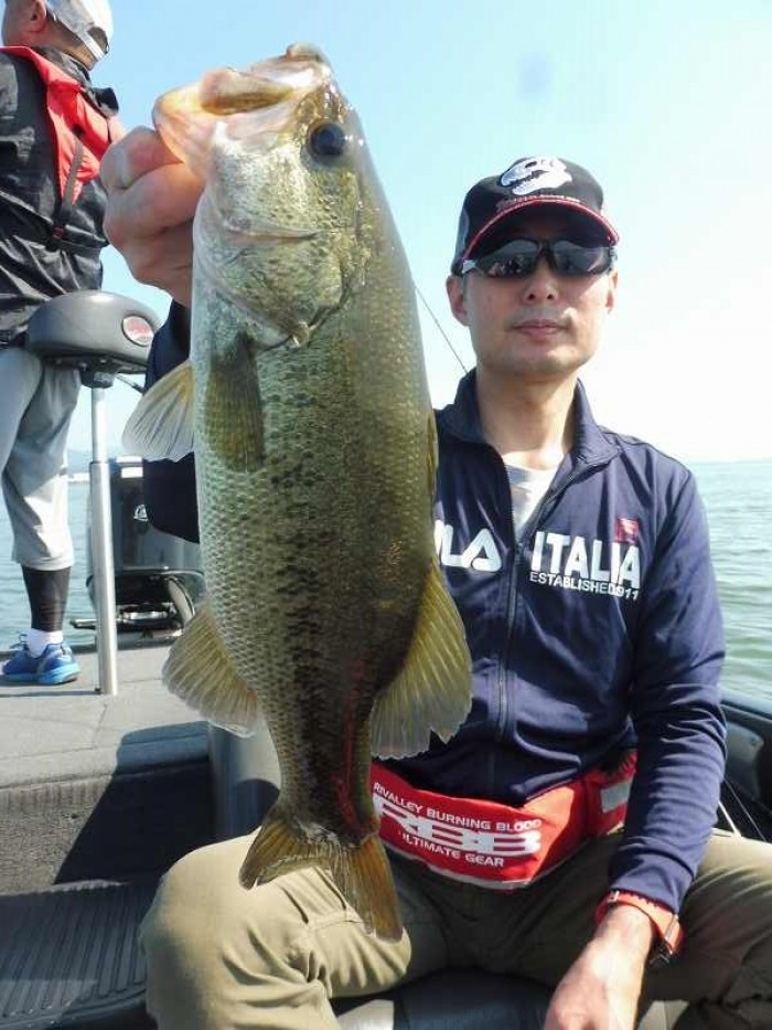 truth  ブログ写真 2017/06/15