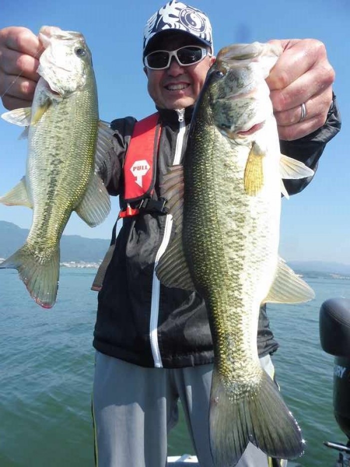 truth  ブログ写真 2017/06/15