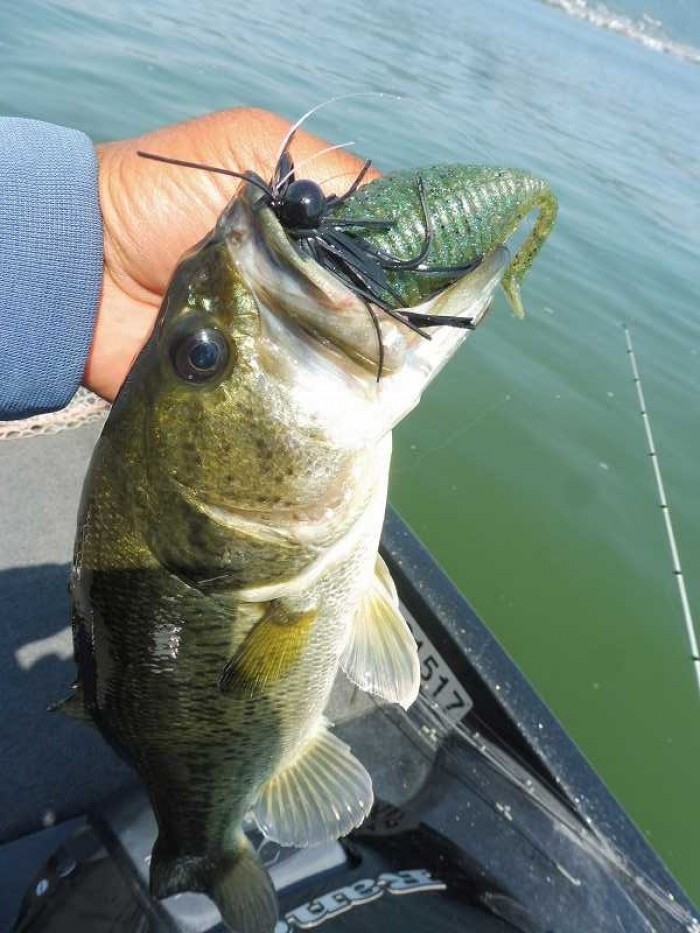 truth  ブログ写真 2017/06/15