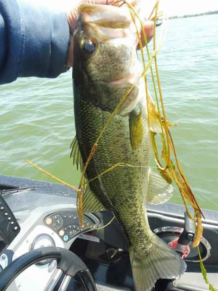 truth  ブログ写真 2017/06/15