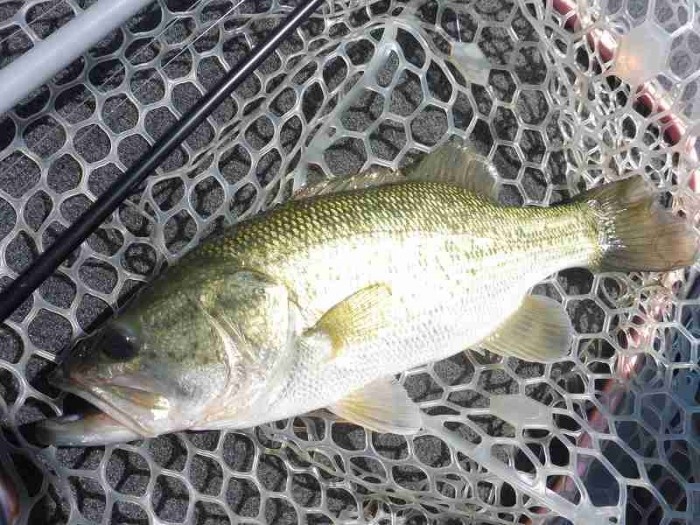 truth  ブログ写真 2017/06/15