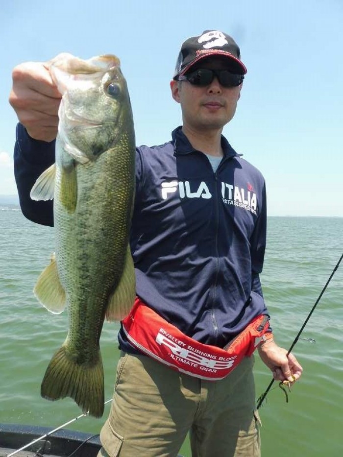 truth  ブログ写真 2017/06/15