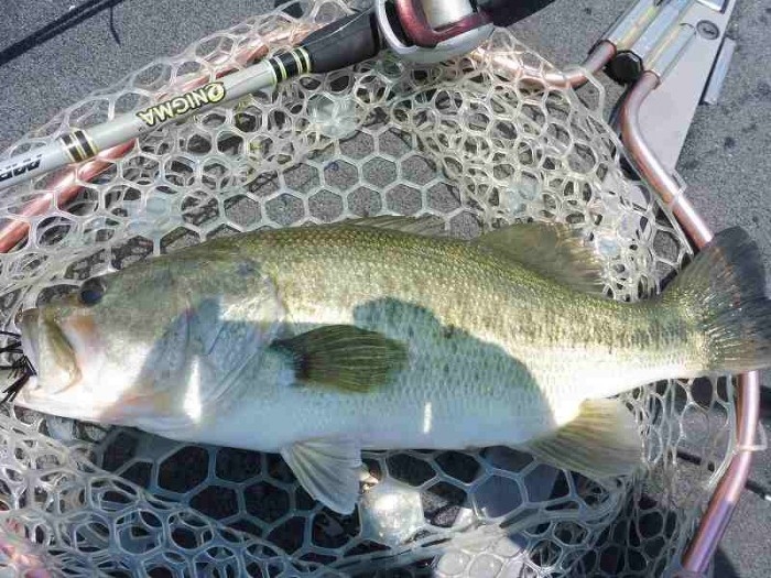 truth  ブログ写真 2017/06/15