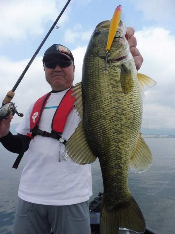 truth  ブログ写真 2017/06/16