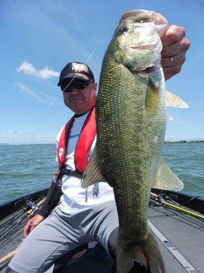 truth  ブログ写真 2017/06/16