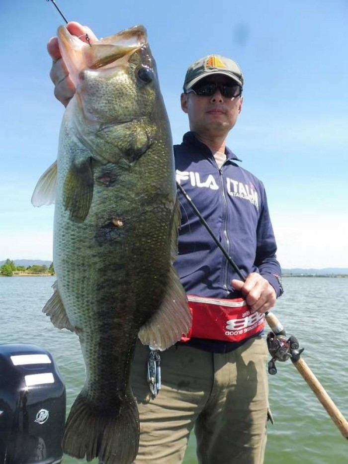 truth  ブログ写真 2017/06/16