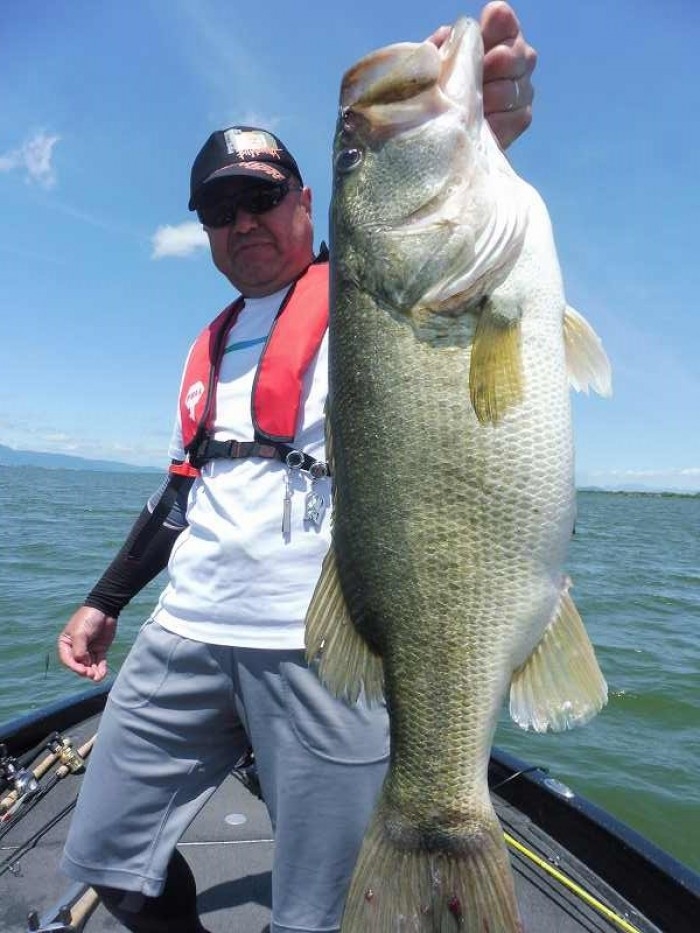 truth  ブログ写真 2017/06/16