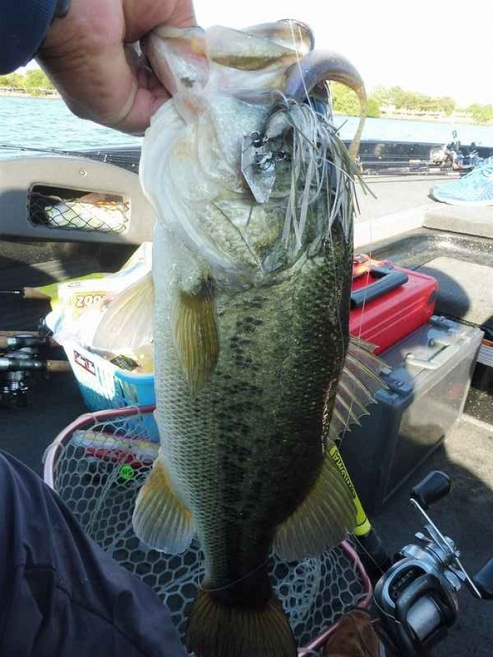 truth  ブログ写真 2017/06/16