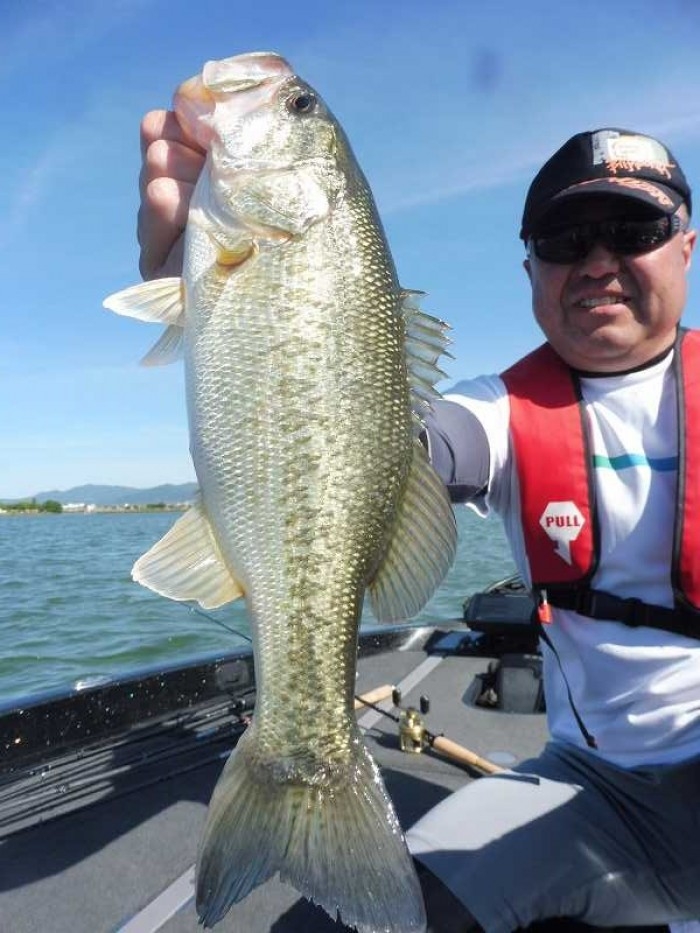 truth  ブログ写真 2017/06/16