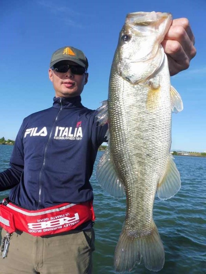 truth  ブログ写真 2017/06/16