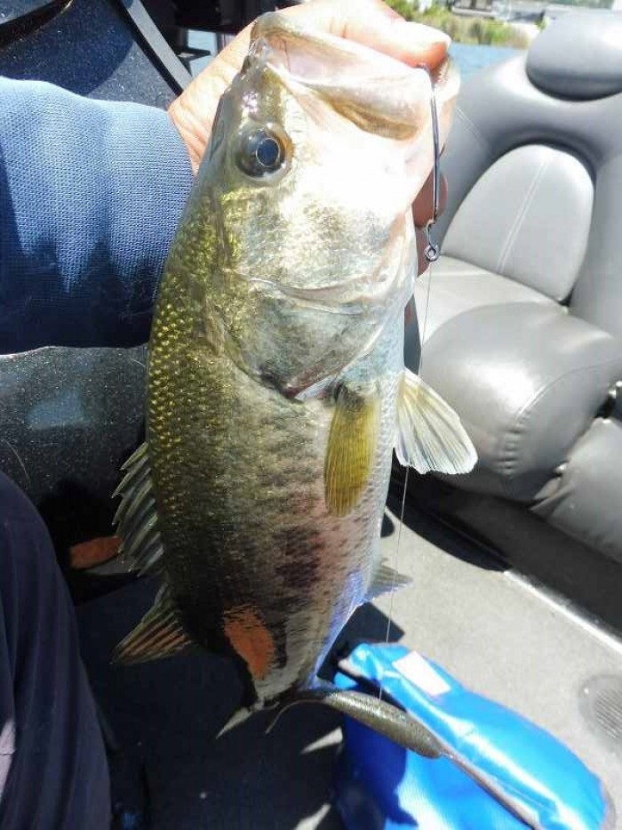 truth  ブログ写真 2017/06/17