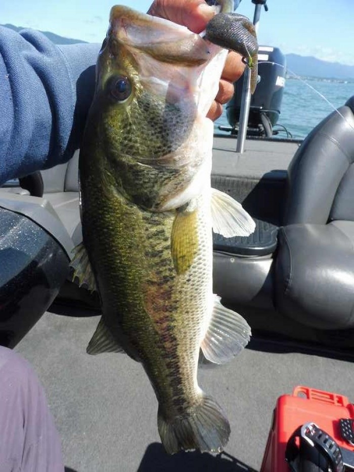 truth  ブログ写真 2017/06/17