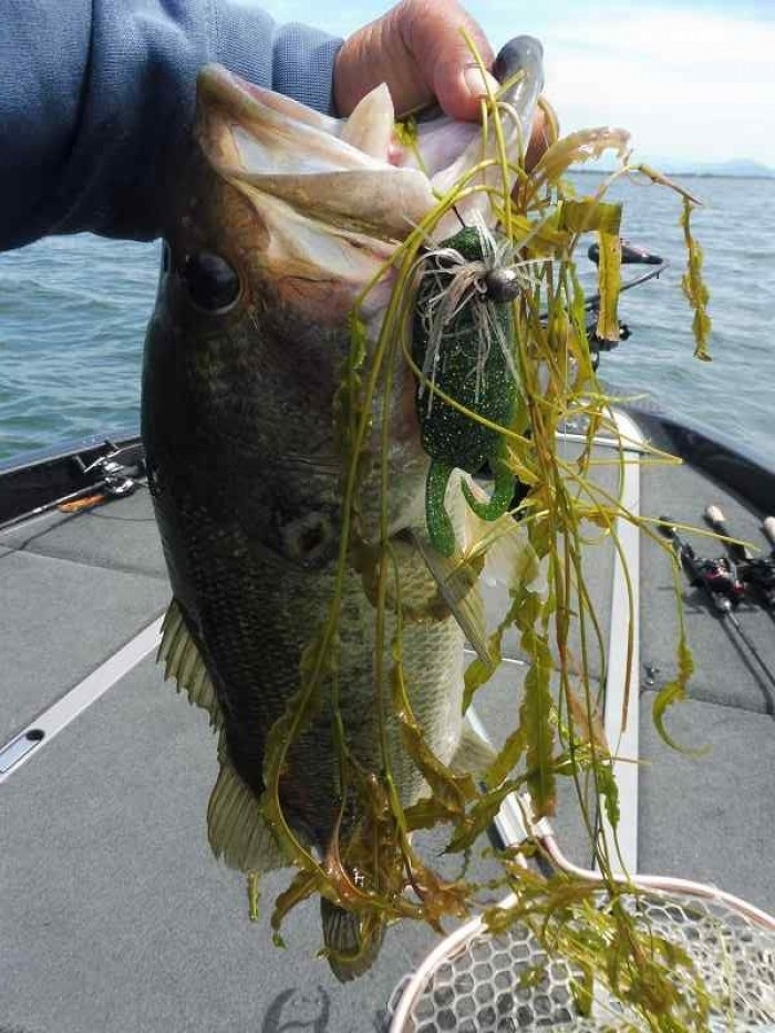 truth  ブログ写真 2017/06/17