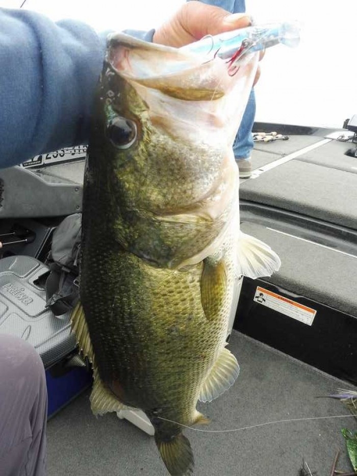 truth  ブログ写真 2017/06/18