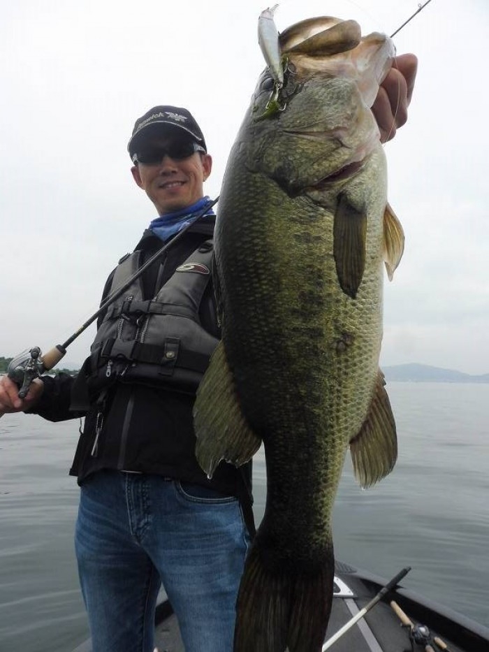 truth  ブログ写真 2017/06/18