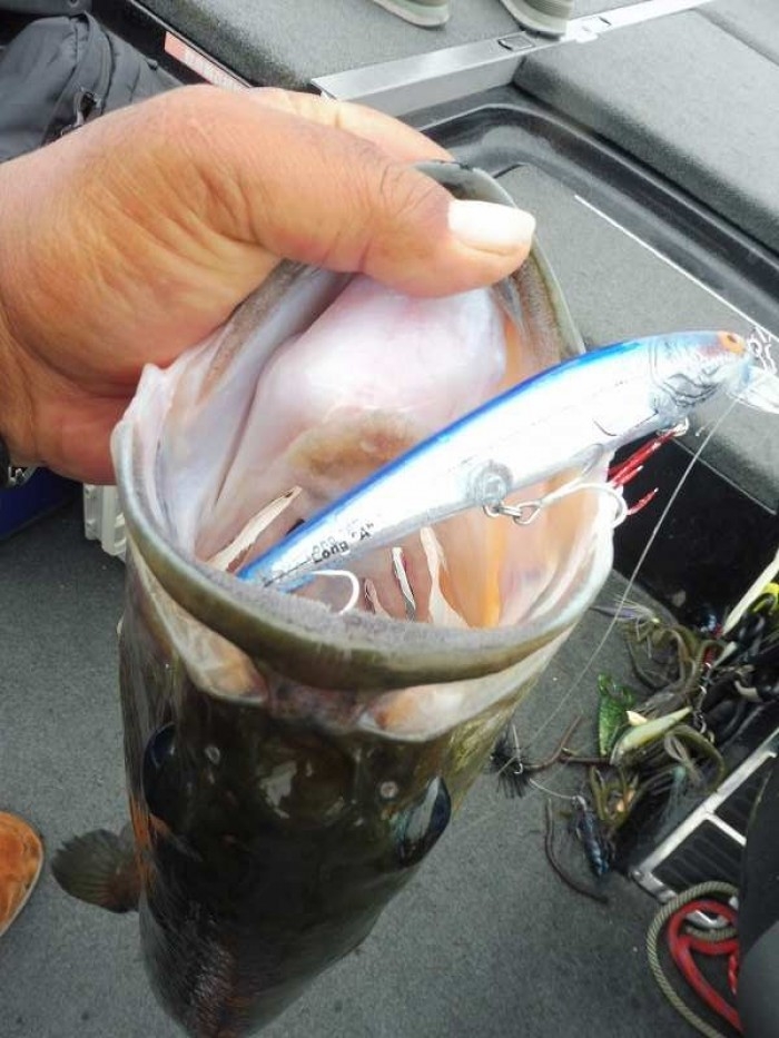 truth  ブログ写真 2017/06/18