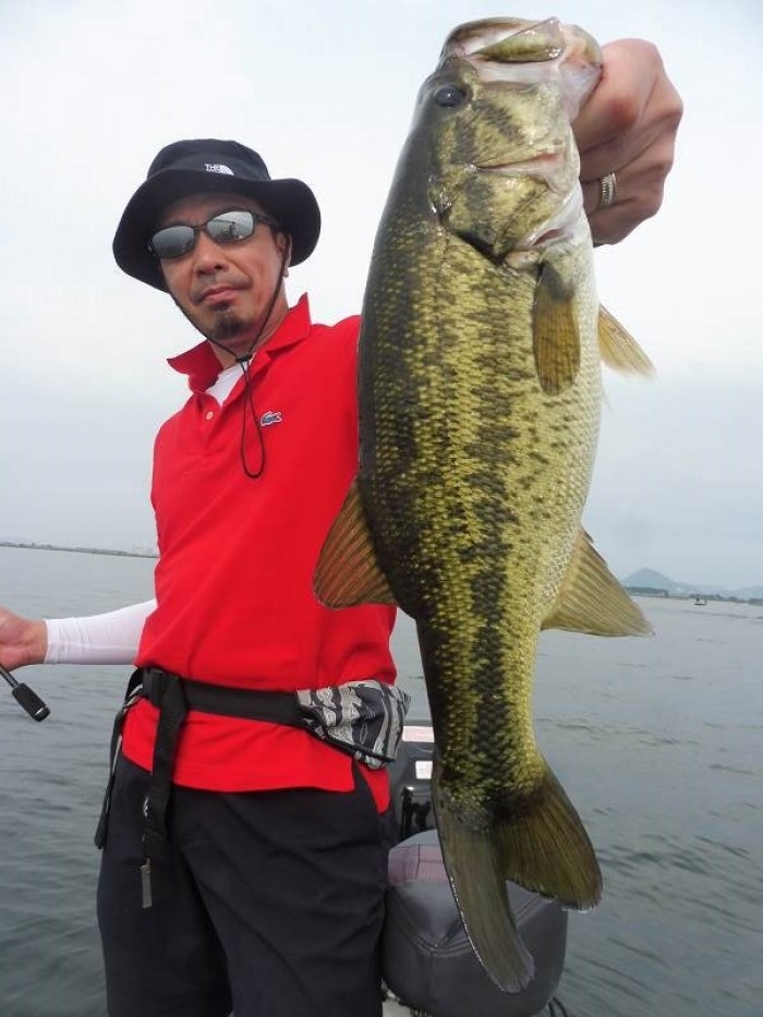 truth  ブログ写真 2017/06/18