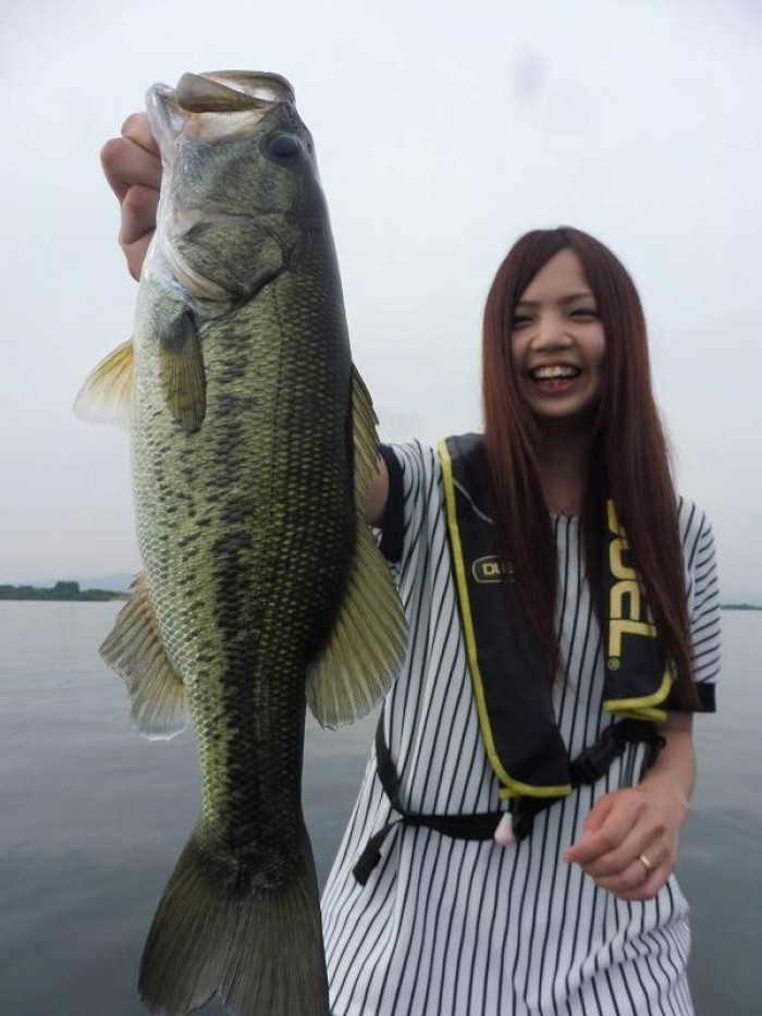 truth  ブログ写真 2017/06/20