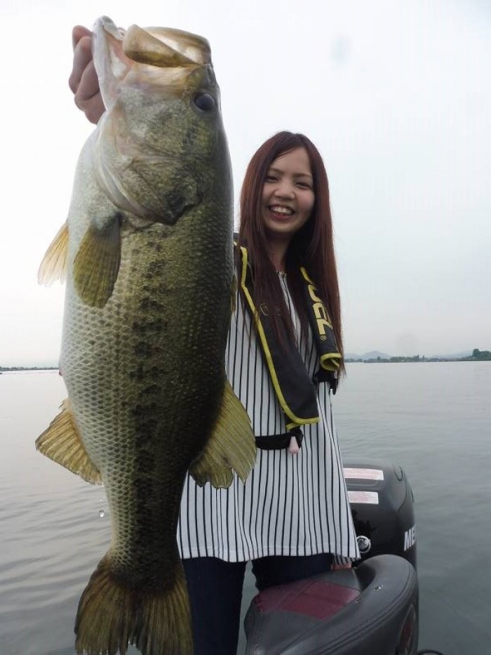 truth  ブログ写真 2017/06/20