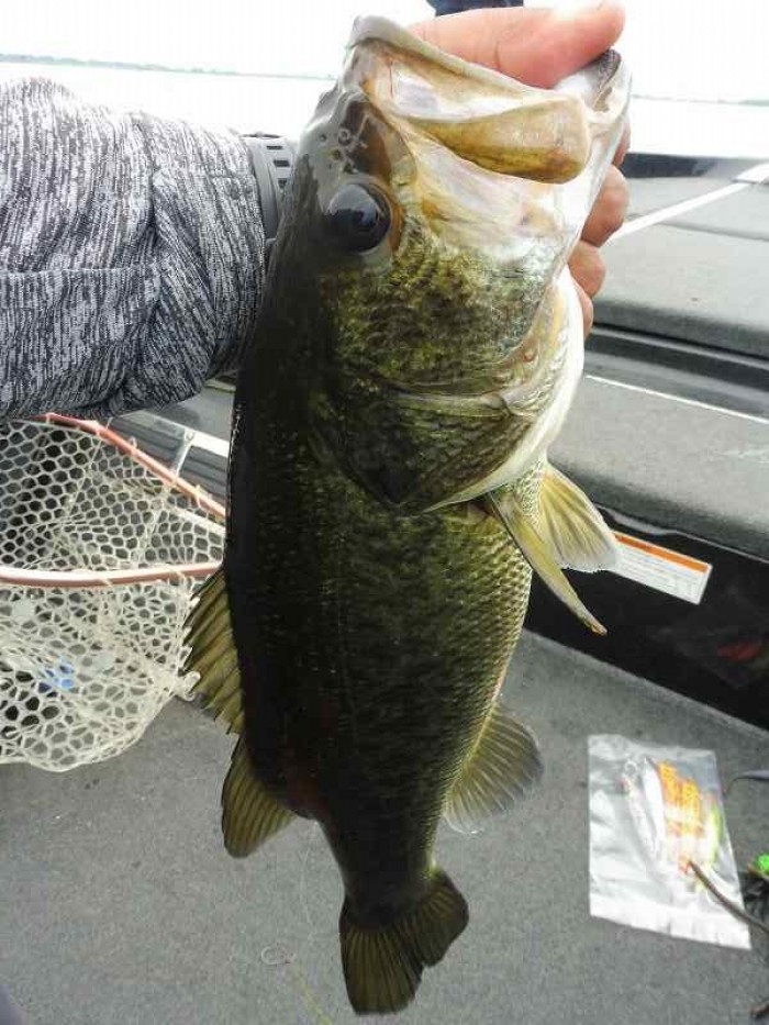 truth  ブログ写真 2017/06/20