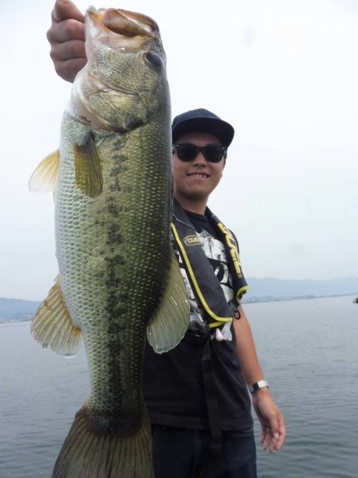 truth  ブログ写真 2017/06/20