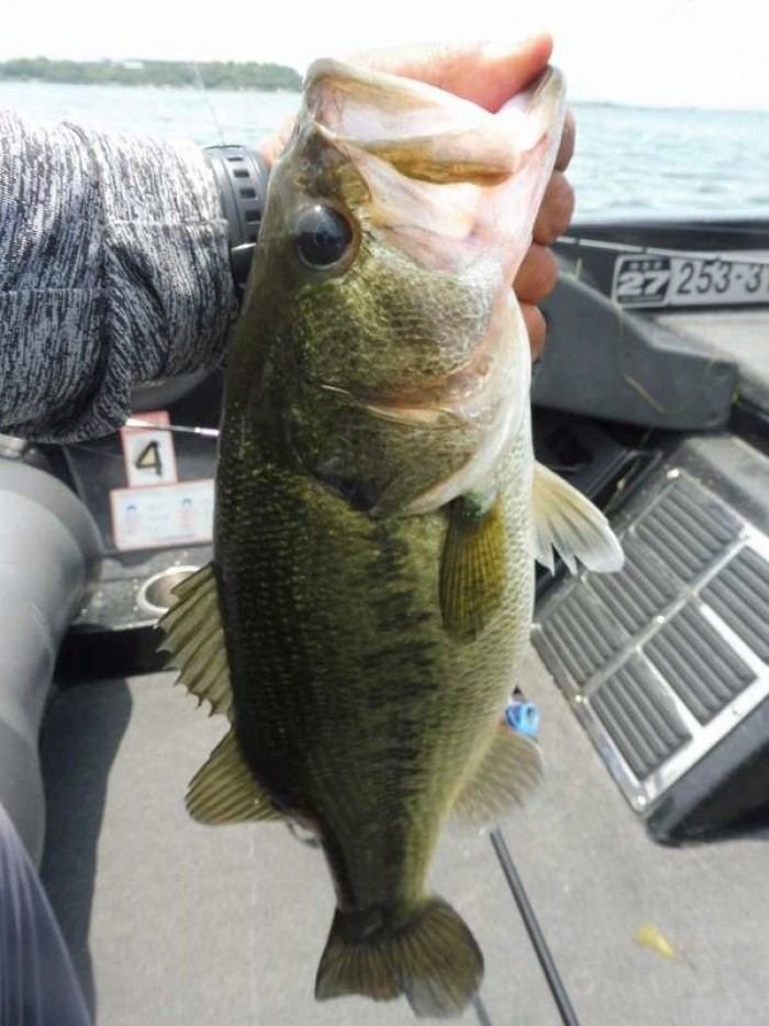 truth  ブログ写真 2017/06/20