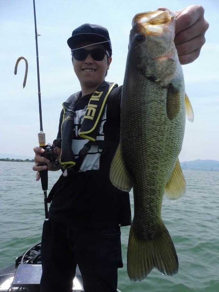 truth  ブログ写真 2017/06/20