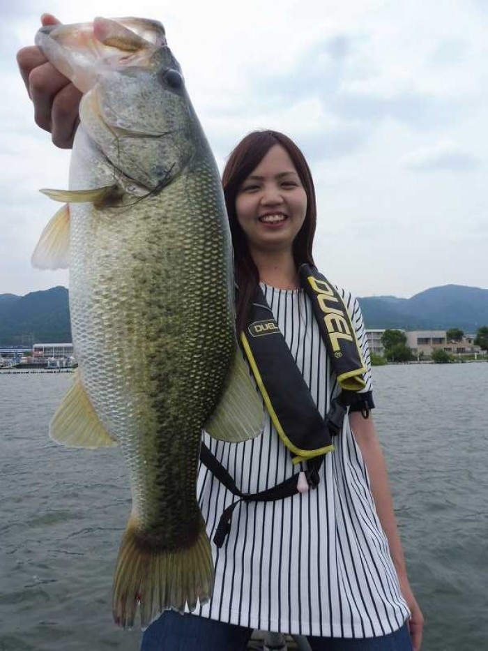 truth  ブログ写真 2017/06/20