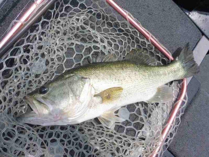 truth  ブログ写真 2017/06/20