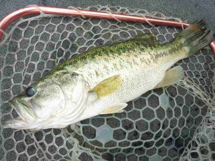 truth  ブログ写真 2017/06/20