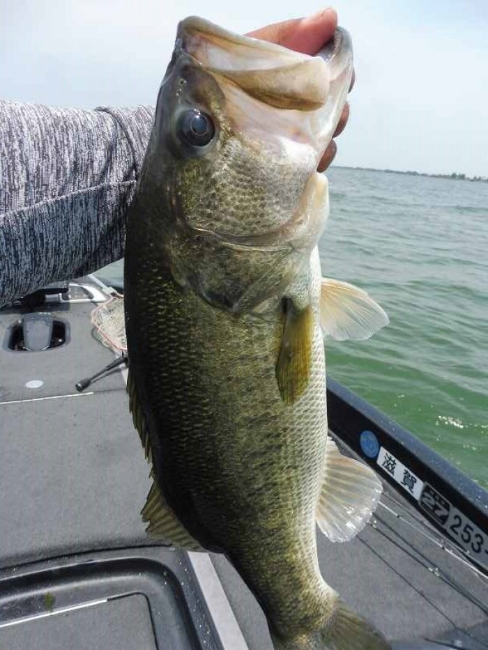 truth  ブログ写真 2017/06/20