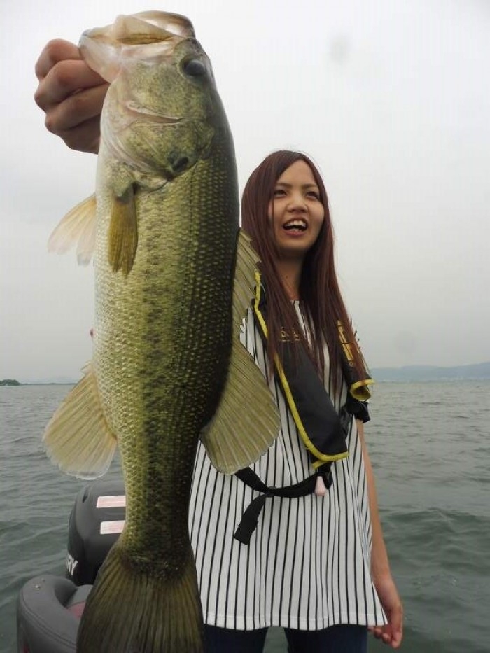 truth  ブログ写真 2017/06/20