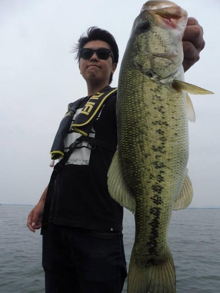 truth  ブログ写真 2017/06/20