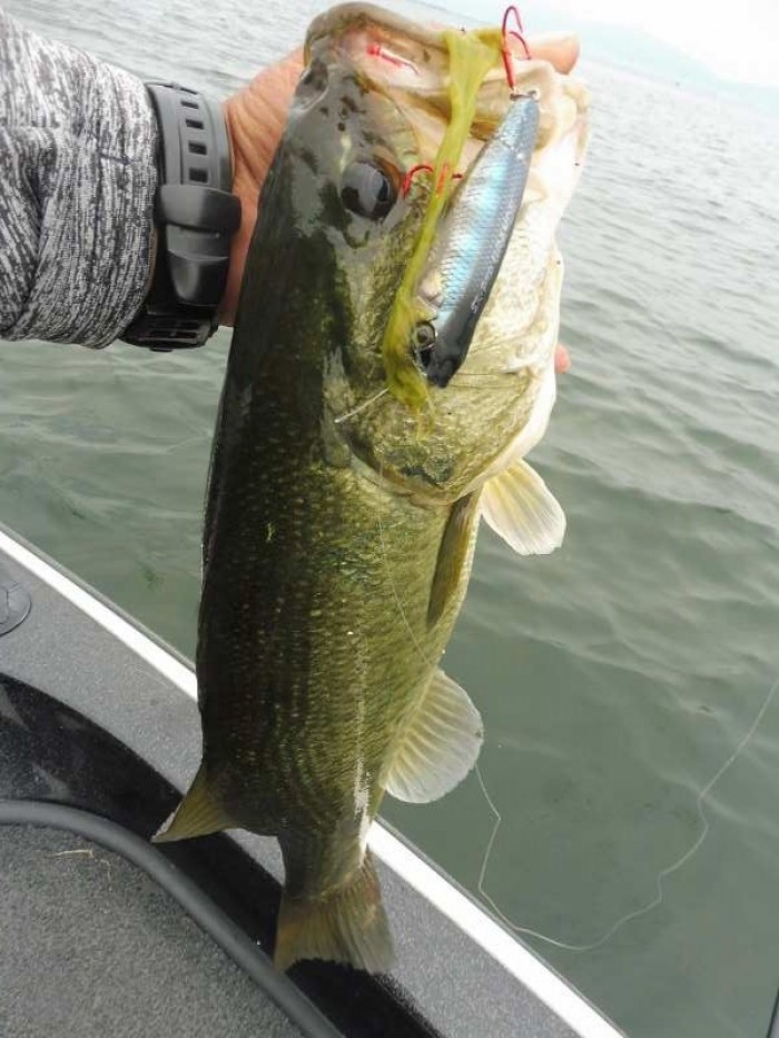 truth  ブログ写真 2017/06/20