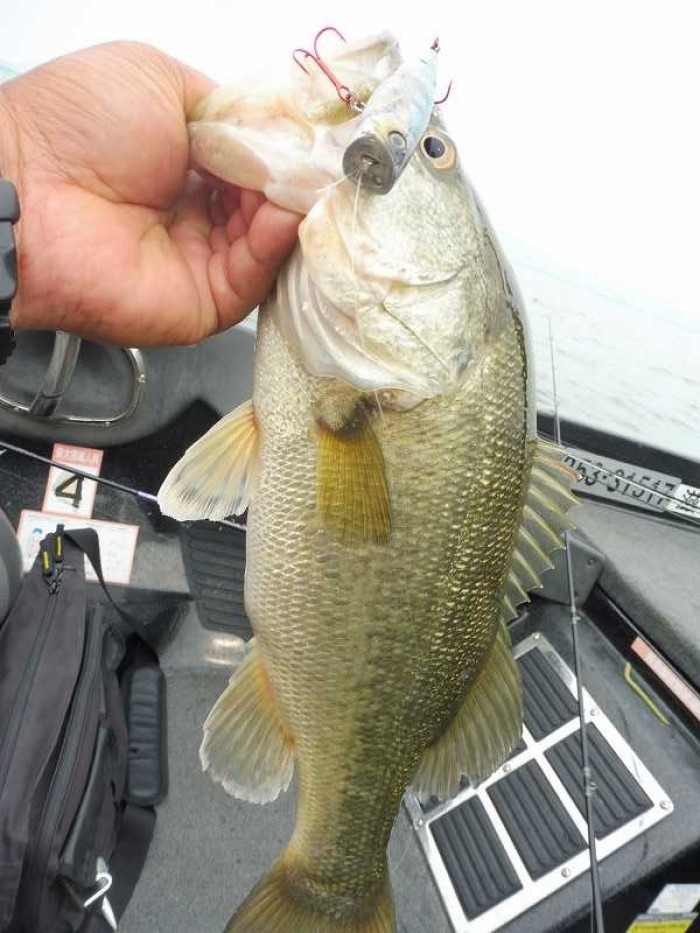 truth  ブログ写真 2017/06/20