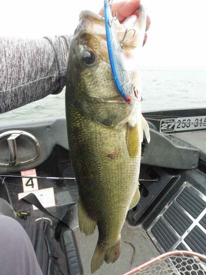 truth  繝悶Ο繧ｰ蜀咏悄 2017/06/20