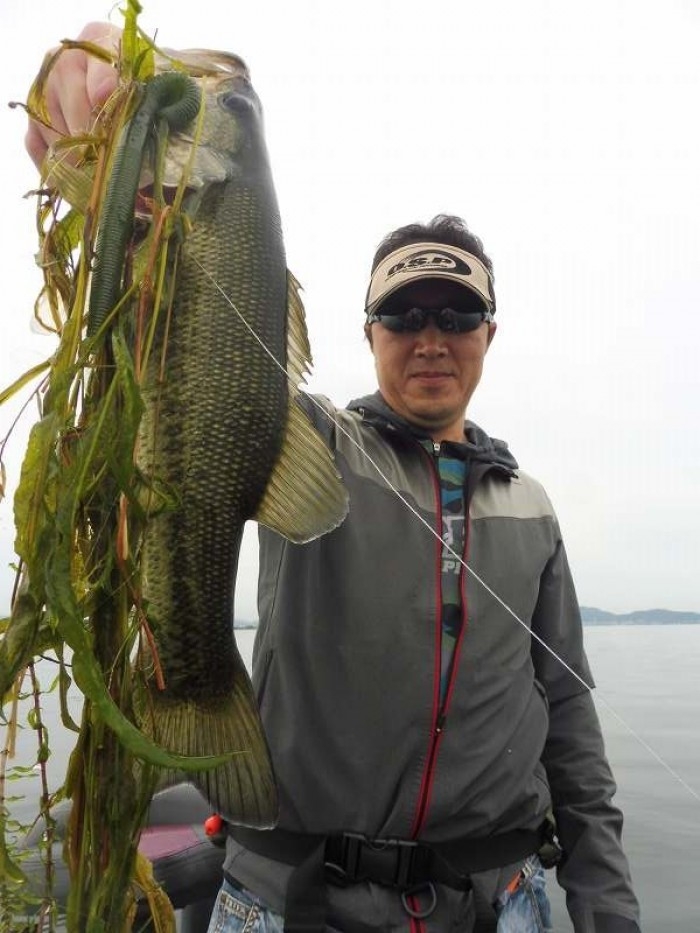 truth  ブログ写真 2017/06/22