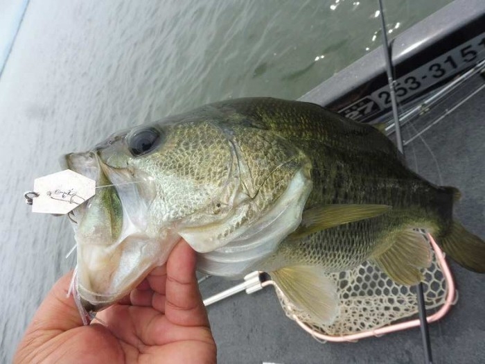 truth  ブログ写真 2017/06/22