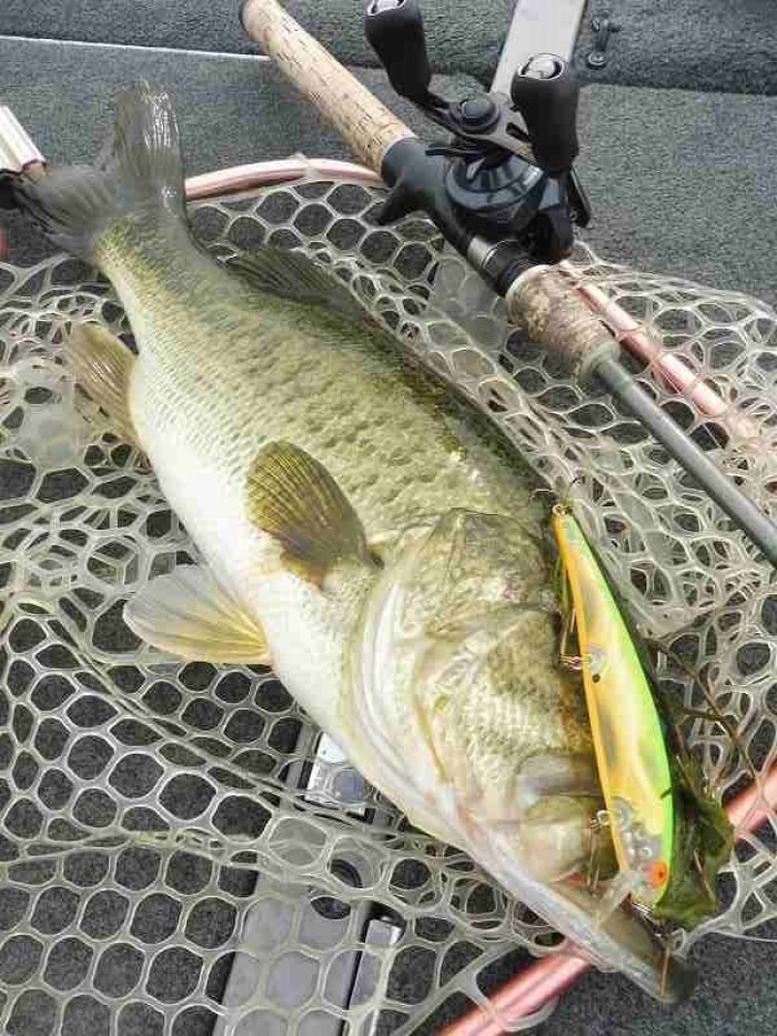 truth  ブログ写真 2017/06/22