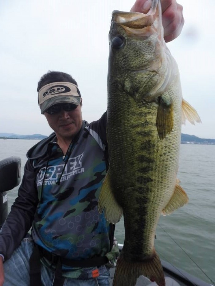 truth  ブログ写真 2017/06/22