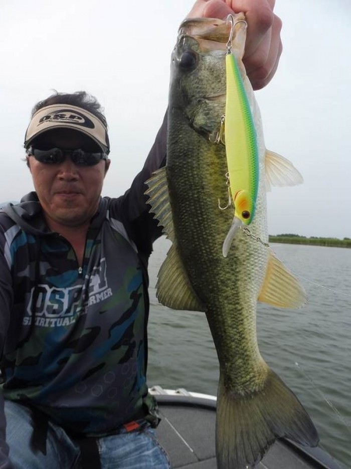 truth  ブログ写真 2017/06/22