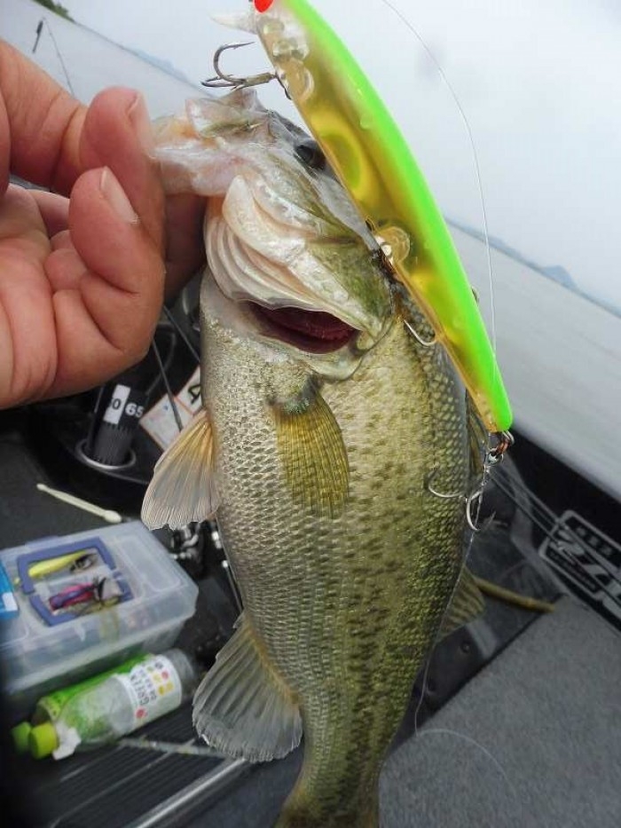 truth  ブログ写真 2017/06/22