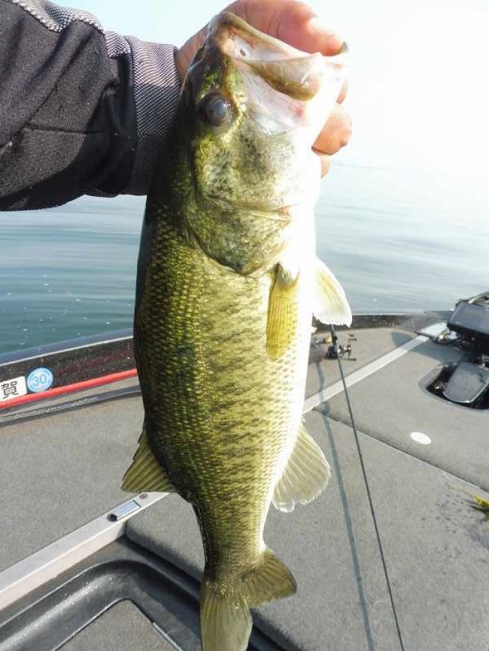 truth  ブログ写真 2017/06/23