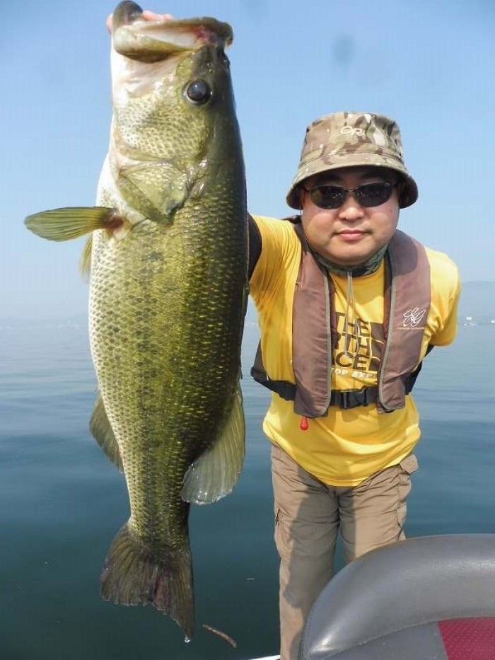 truth  ブログ写真 2017/06/23