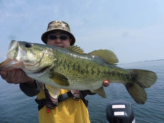 truth  ブログ写真 2017/06/23