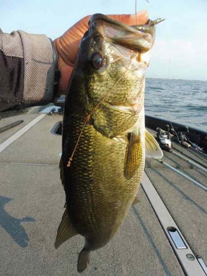 truth  ブログ写真 2017/06/23