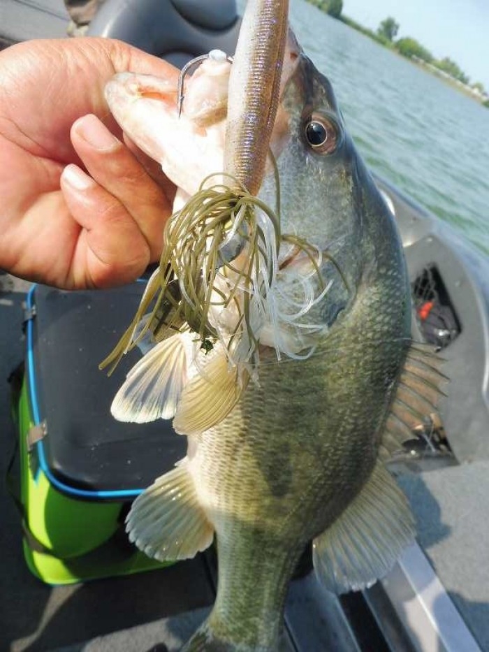 truth  ブログ写真 2017/06/23