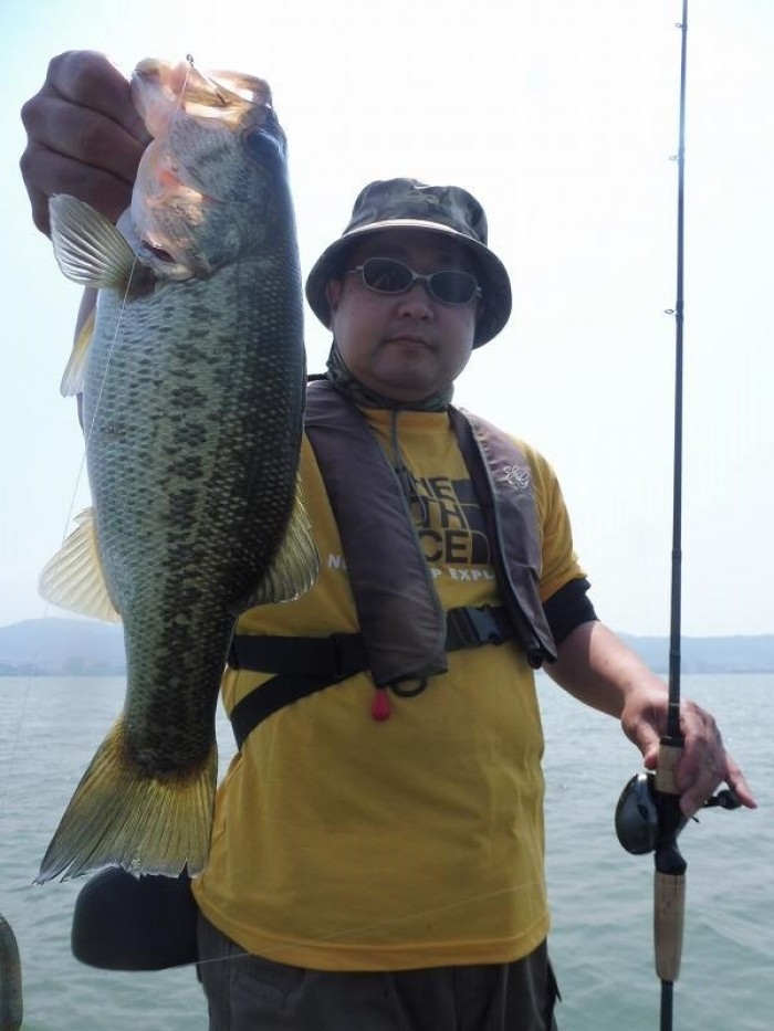 truth  ブログ写真 2017/06/23