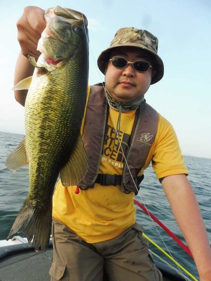 truth  ブログ写真 2017/06/23